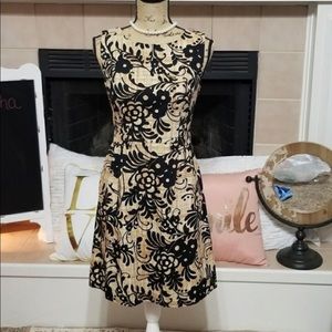 Anthropologie tabitha A-line sheath